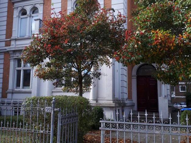 Wohnung zur Miete 443 € 1 Zimmer 30,5 m² 1. Geschoss Moislinger Allee 22 a St. Lorenz Süd St. Lorenz-Süd 23558