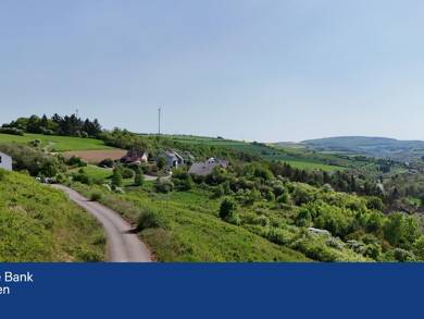 Grundstück zum Kauf 100.800 € 840 m² Grundstück frei ab sofort Alsenz 67821