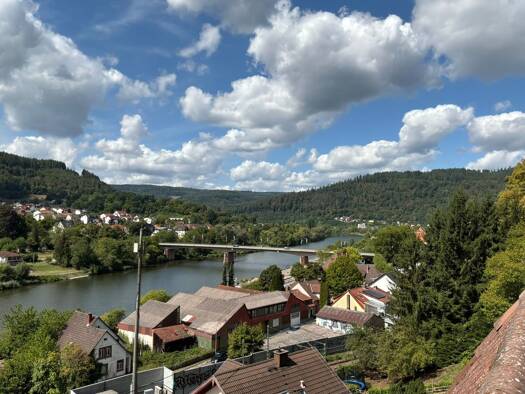 Penthouse zur Miete 980 € 2,5 Zimmer 115 m² Eberbach Eberbach 69412