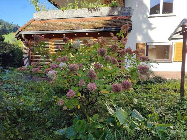 Wohnung zum Kauf provisionsfrei 549.000 € 4,5 Zimmer 152 m² EG Kollnau Waldkirch 79183