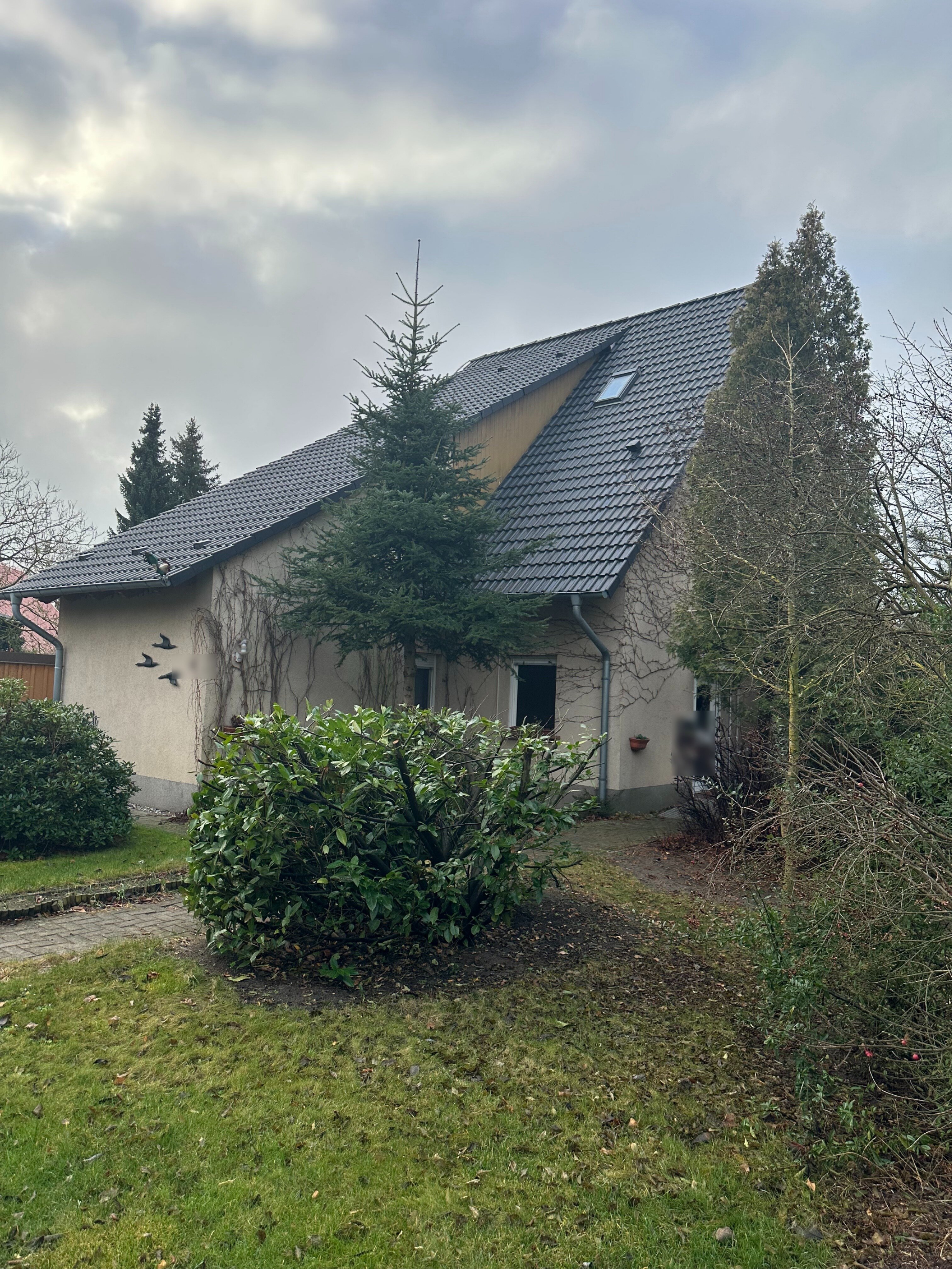 Einfamilienhaus zum Kauf 220.000 € 5 Zimmer 125 m²<br/>Wohnfläche 1.000 m²<br/>Grundstück Torgelow-Holländerei Torgelow 17358