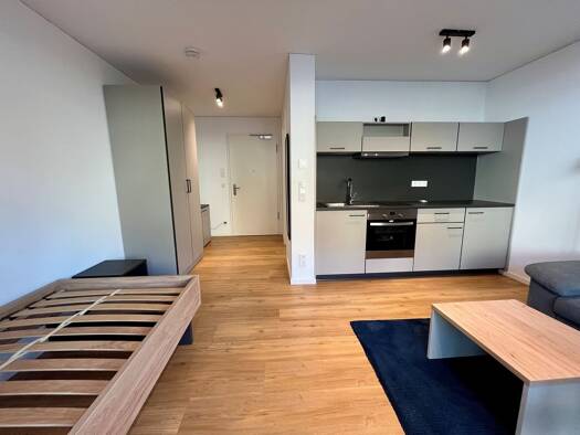 Terrassenwohnung zur Miete 520 € 1 Zimmer 27 m² EG frei ab sofort Am historischen Lokschuppen 16 Innenstadt Fürth 90762