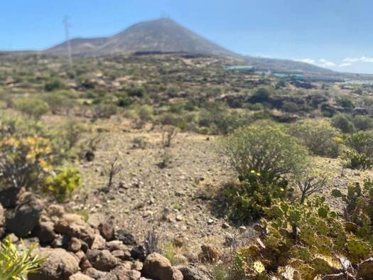Acker-/Waldstück zum Kauf 175.000 € Granadilla de Abona 38611
