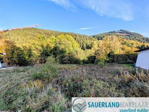 Grundstück zum Kauf 117.000 € 1.944 m² Grundstück Willingen Willingen (Upland) 34508