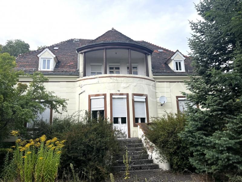 Einfamilienhaus zum Kauf 515.000 € 8 Zimmer 318 m²<br/>Wohnfläche 1.826 m²<br/>Grundstück Luckenwalde Luckenwalde 14943