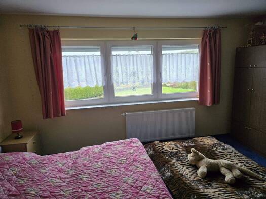 Einfamilienhaus zum Kauf 298.000 € 4 Zimmer 145 m² 674 m² Grundstück Oberer Hammerrain 5 Schmalkalden 98574