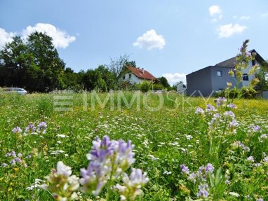 Grundstück zum Kauf 275.000 € 888 m² Grundstück Weißkirchen an der Traun 4616