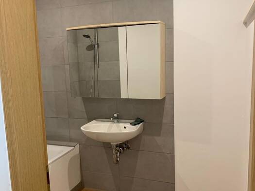 Wohnung zur Miete 650 € 2 Zimmer 67 m² Geschoss 2/3 frei ab sofort Moosbürg Weiden in der Oberpfalz 92637
