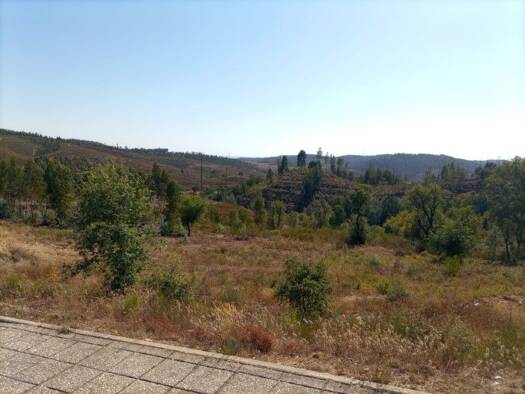 Grundstück zum Kauf 32.460 € 540 m² Grundstück Mação, Penhascoso e Aboboreira