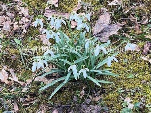 Reihenendhaus zum Kauf 679.000 € 4 Zimmer 108 m² 170 m² Grundstück Kumpfmühl-Ziegetsdorf-Neuprüll Regensburg 93051