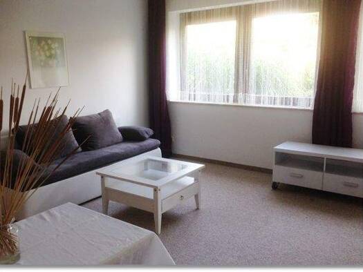 Studio zur Miete 350 € 1 Zimmer 33 m² Aisch Adelsdorf 91325