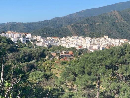 Acker-/Waldstück zum Kauf 80.000 € Camino de Istan a Monda Istán 29611