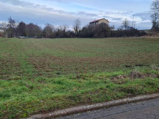 Haus zum Kauf 680.000 € 7 Zimmer 220 m² 2.225 m² Grundstück Freimersheim 55234