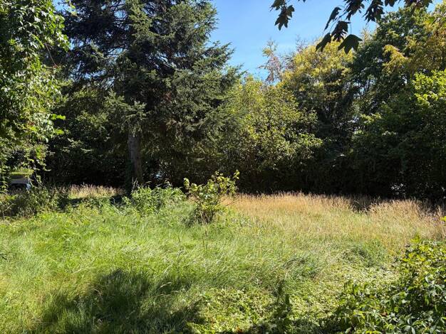 Grundstück zum Kauf 130.000 € 1.277 m² Grundstück Leese Lemgo 32657