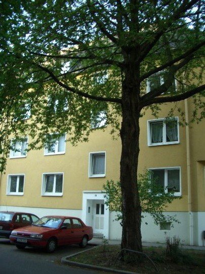 Wohnung zur Miete 564,30 € 2 Zimmer 59,4 m²<br/>Wohnfläche 3.<br/>Geschoss 19.10.2024<br/>Verfügbarkeit Breslauer Straße 36 Frohnhausen Essen 45145