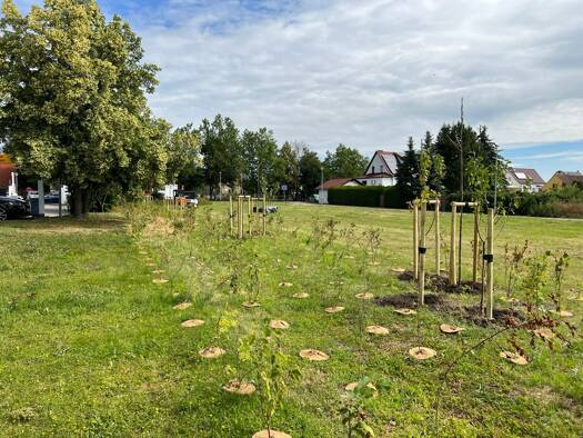 Grundstück zum Kauf provisionsfrei Paradiesweg Kölleda 99625