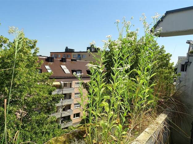Wohnung zum Kauf 459.000 € 3 Zimmer 86,1 m² 5. Geschoss Laim München 80686