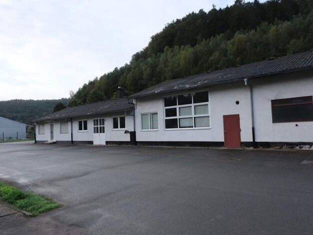 Lagerhalle zur Miete provisionsfrei 300 m² Lagerfläche Rodalben 66976