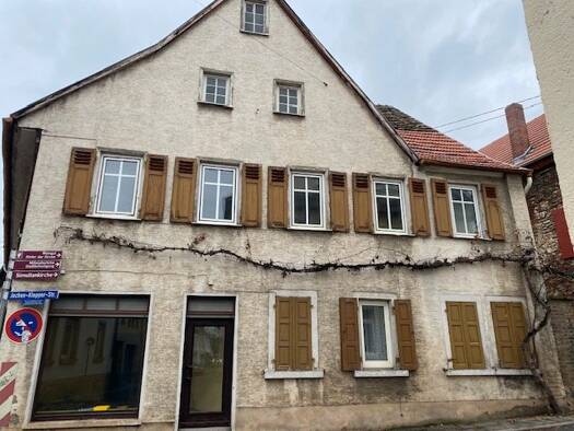 Mehrfamilienhaus zum Kauf provisionsfrei 419.000 € 650 m² 417 m² Grundstück frei ab sofort Pfeddersheim Worms 67551