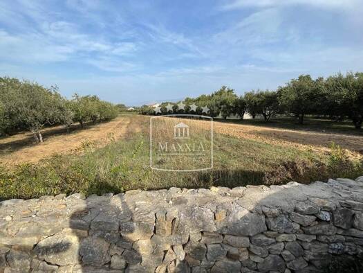 Grundstück zum Kauf 109.000 € Novigrad 23312