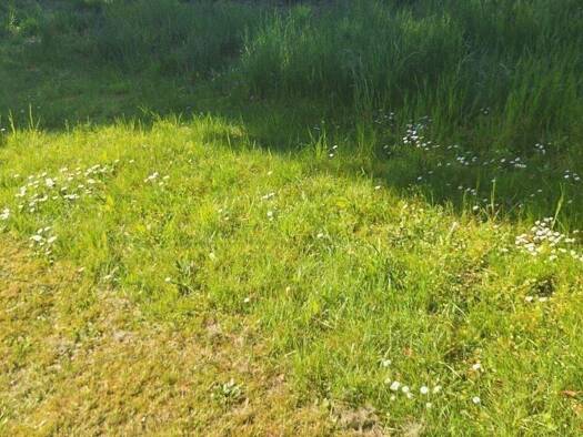 Grundstück zum Kauf 39.690 € 810 m² Grundstück Bösel Lüchow 29439