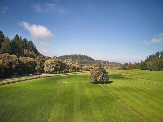 Mehrfamilienhaus zum Kauf 2.120.000 € 14 Zimmer 405 m² 528 m² Grundstück frei ab sofort Schauinslandstraße 18 Günterstal Freiburg im Breisgau 79100