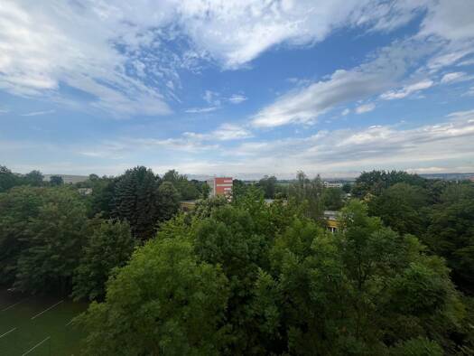 Wohnung zur Miete 329 € 3 Zimmer 60 m² 5. Geschoss frei ab sofort Dortmunder Straße 8 Neuplanitz Zwickau 08062