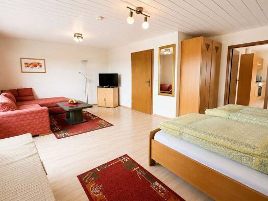 Wohnung zur Miete 450 € 1 Zimmer 45 m² Albersbach Rimbach 64668