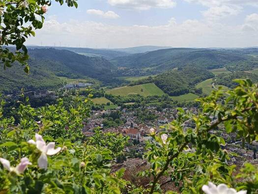 Wohnung zum Kauf 80.000 € 1 Zimmer 37 m² 1. Geschoss Bad Sobernheim 55566