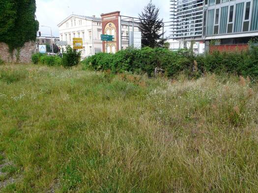 Grundstück zur Versteigerung provisionsfrei 19.300 € 252 m² Grundstück Trebbiner Straße 19 Luckenwalde 14943