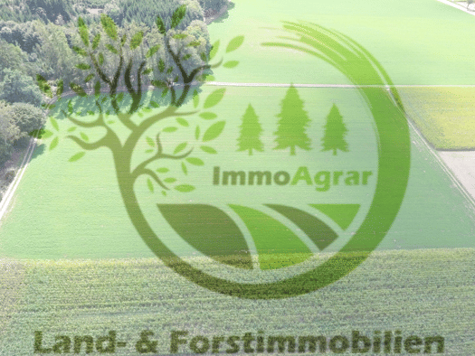Grundstück zum Kauf 100.000 € 14.230 m² Grundstück frei ab sofort Haupeltshofen Aletshausen 86480