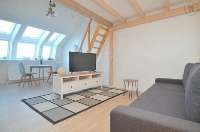 Wohnung zur Miete Wohnen auf Zeit 740 € 1,5 Zimmer 33 m² frei ab 01.07.2025 Stadtpark / Stadtgrenze 20 Fürth 90762