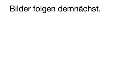 Wohnung zur Miete 900 € 2,5 Zimmer 65 m² Geschoss 1/1 frei ab sofort Budenheim 55257