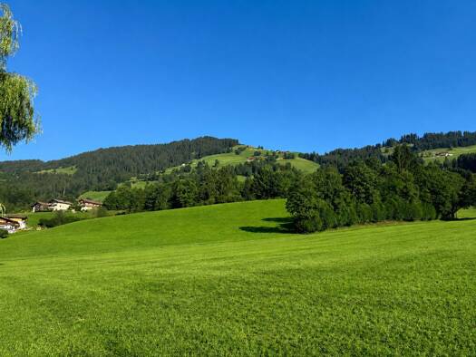 Einfamilienhaus zum Kauf 1.290.000 € 3 Zimmer 92 m² 769 m² Grundstück frei ab sofort Brixen im Thale 6364