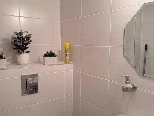 Wohnung zur Miete 610 € 2 Zimmer 72 m² frei ab 01.01.2026 Schleswig 24837