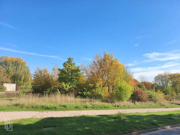Grundstück zum Kauf 1.250.000 € 4.163 m² Grundstück Industriegebiet Nord Weimar 99427