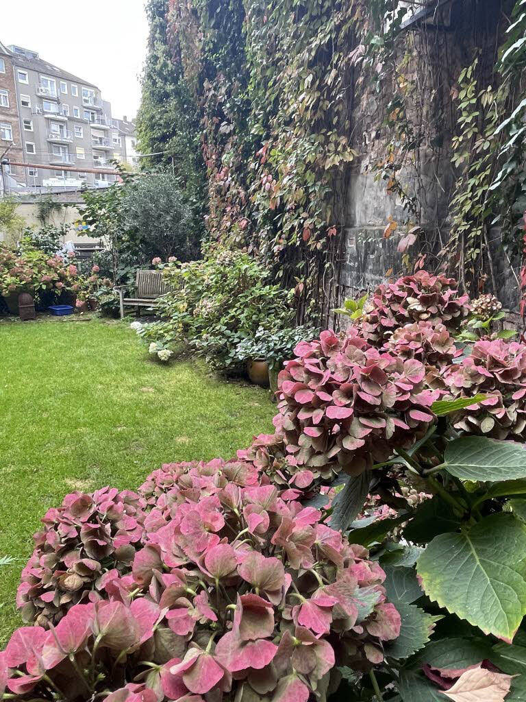 Property thumbnail 18