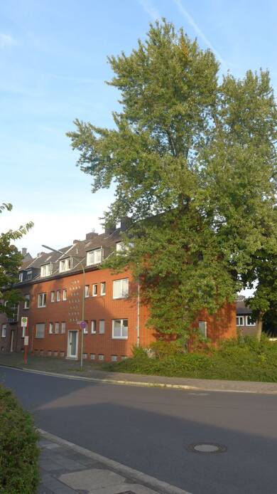 Wohnung zur Miete 700 € 3 Zimmer 62 m² Geschoss EG/3 frei ab 01.10.2025 Furth - Mitte Neuss 41462
