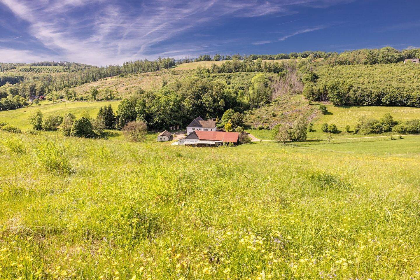 Land-/Forstwirtschaft zum Kauf - Ansicht 3