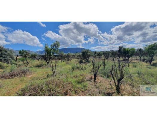 Acker-/Waldstück zum Kauf 115.000 € Alhaurín de la Torre 29130