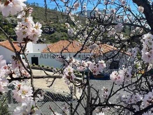 Chalet zum Kauf 546.000 € 4 Zimmer 200 m² Chío-Chiguergue Guía de Isora 38688