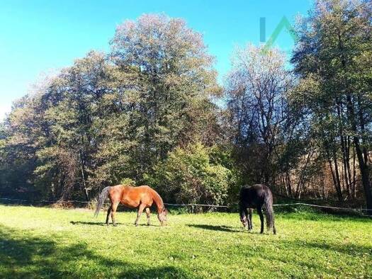 Bauernhaus zum Kauf 695.000 € 6 Zimmer 180 m² 22.000 m² Grundstück Penzingerdorf 4793