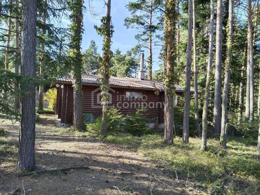 Bungalow zum Kauf 218.000 € 54 m² 1.501 m² Grundstück Hollenthon 2812