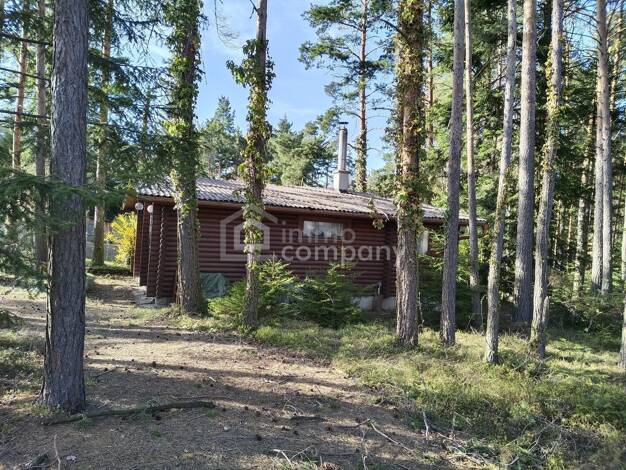 Bungalow zum Kauf 218.000 € 54 m² 1.501 m² Grundstück Hollenthon 2812