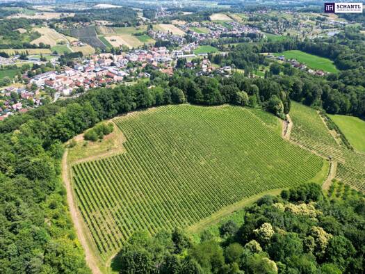 Grundstück zum Kauf 1.400.000 € 11.733 m² Grundstück Leutschach an der Weinstraße 8462