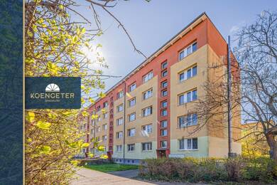 Wohnung zum Kauf 90.000 € 2 Zimmer 46 m² 3. Geschoss Eutritzsch Leipzig 04129