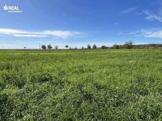 Grundstück zum Kauf 399.000 € 1.201 m² Grundstück Winden am See 7092
