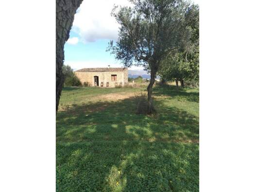 Acker-/Waldstück zum Kauf 239.000 € Santa Maria del Camí 07320