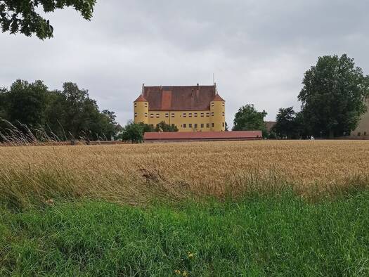 Wohnung zur Miete 340 € 2 Zimmer 28 m² Geschoss 2/3 frei ab 01.12.2025 Max-Johann-Straße 27 Erbach 89155