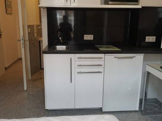 Wohnung zur Miete 850 € 1 Zimmer 20 m² EG Grüneburgweg Westend-Süd Frankfurt am Main 60323